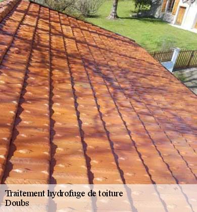 Traitement hydrofuge de toiture 25 Doubs  Prestot Rénovation 25