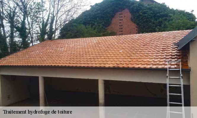 Traitement hydrofuge de toiture  arcier-25220 Prestot Rénovation 25