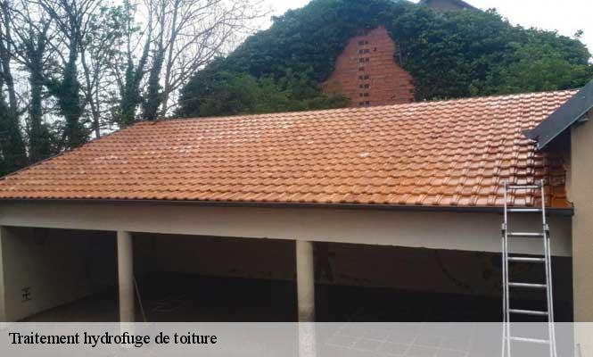 Traitement hydrofuge de toiture dannemarie-sur-crete-25410 Prestot Rénovation 25