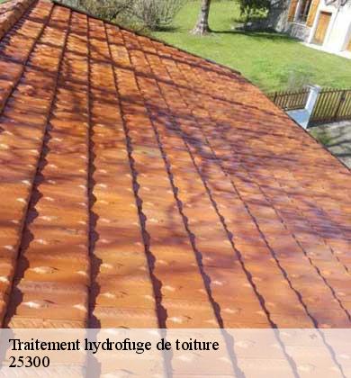 Traitement hydrofuge de toiture  houtaud-25300 Prestot Rénovation 25