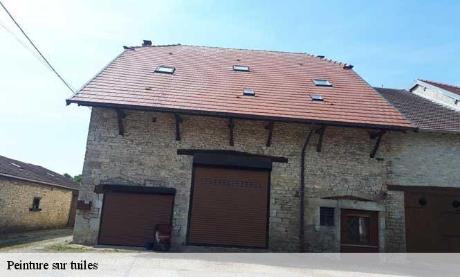 Peinture sur tuiles  adam-les-passavant-25360 Prestot Rénovation 25