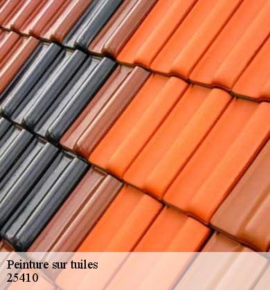Peinture sur tuiles antorpe-25410 Prestot Rénovation 25