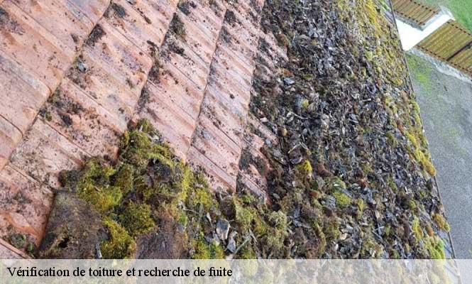 Vérification de toiture et recherche de fuite  chassagne-saint-denis-25290 Prestot Rénovation 25