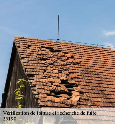 Vérification de toiture et recherche de fuite  feule-25190 Prestot Rénovation 25