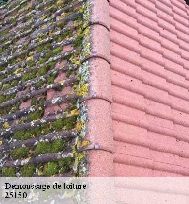 Demoussage de toiture  bourguignon-25150 Prestot Rénovation 25